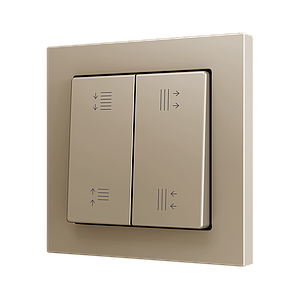 Zennio ZS55 - Bouton-poussoir double avec impression personnalisée (Champagne)